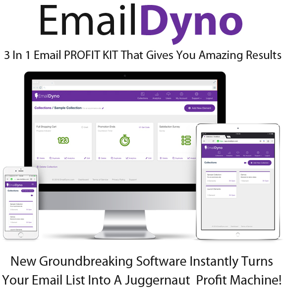 EmailDyno Software Professional License Full Access